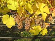 GästeHaus Rudolf u. Sandra DENK