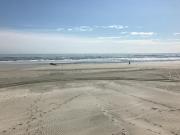 Top Wildwood Crest