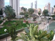 Top Benidorm