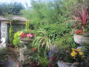 Top Robin Hood's Bay