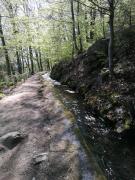 Top Brotterode-Trusetal