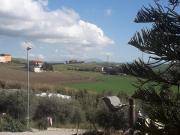 Top San Cipirello
