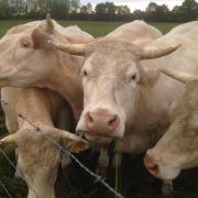 Top Monétay-sur-Loire