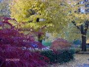 Albergo Ristorante Cima I Pra