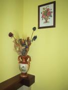Top Fratta Todina