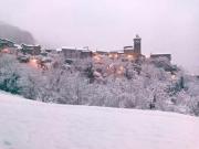 Top Torla