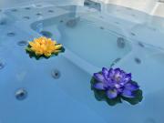 Top Villeneuve-lès-Maguelonne