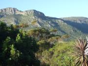 Top Hout Bay