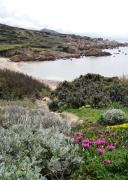 Top Santa Teresa Gallura