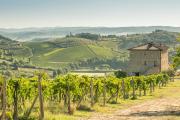 Top San Gimignano