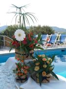 Top Marina di Campo