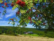 Top Kurort Oberwiesenthal