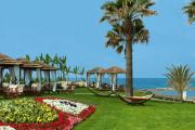 Top Paphos City