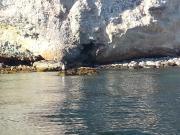 Top Panarea