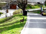 Top Špindlerův Mlýn