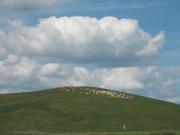 Top Castiglione dʼOrcia