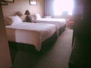 Top Vegreville