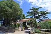 Top Pula