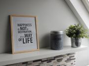 Top Hoornaar Top Hoornaar