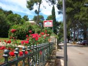 Top Rovinj