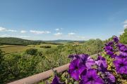 Top Rapolano Terme