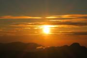Hotel mango tree nearest Adams peak