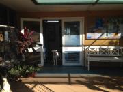 Top Carnarvon