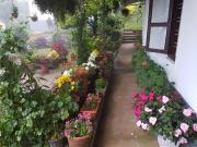Top Munnar