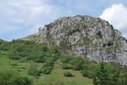 Top Poo de Cabrales
