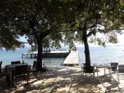 Top Dassia Top Dassia