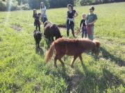 Top Smarjeske Toplice