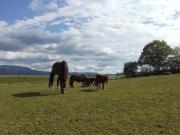 Top Smarjeske Toplice