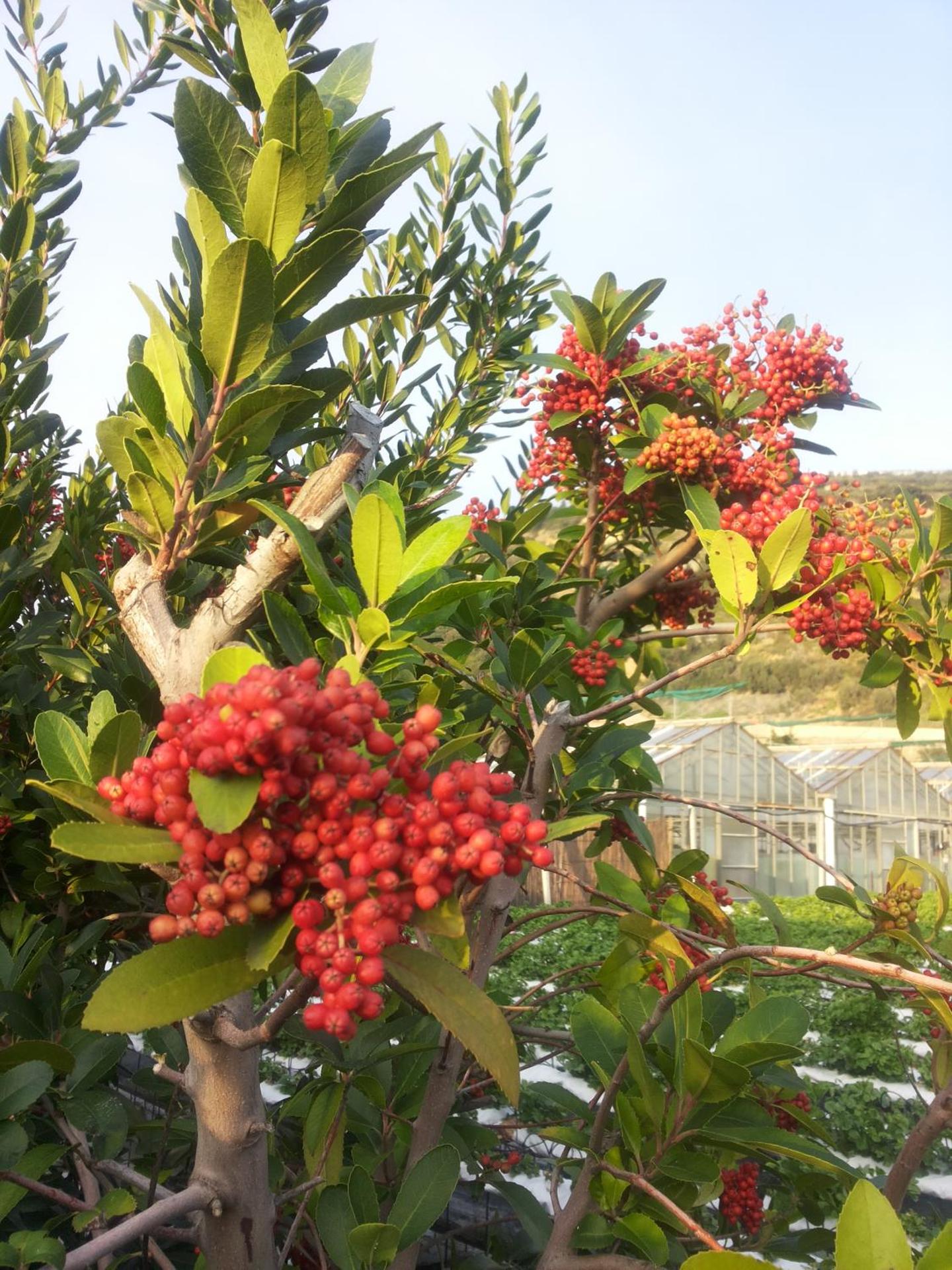 RELAX AL MARE - Spiaggia, bici e barbecue!