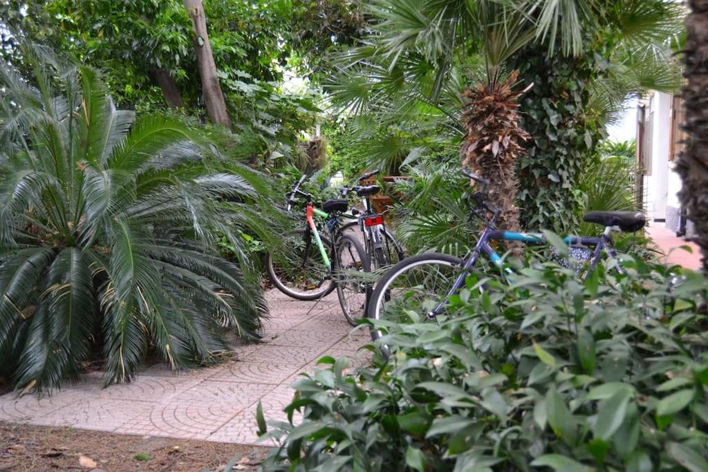 RELAX AL MARE - Spiaggia, bici e barbecue!