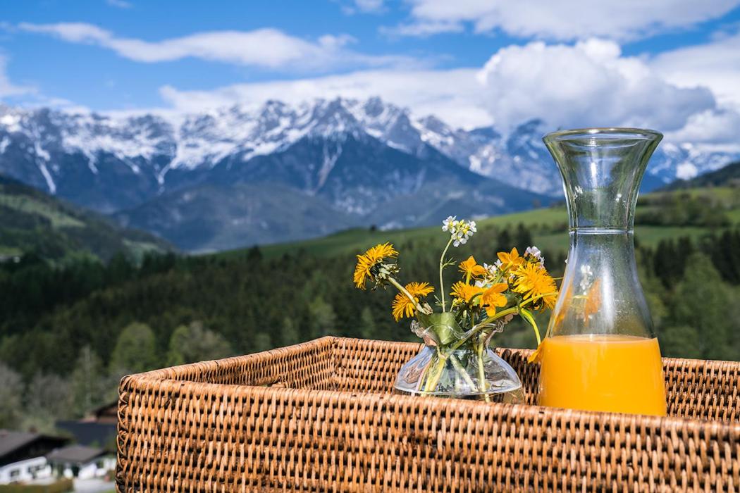 Steinberghaus Ferienhaus