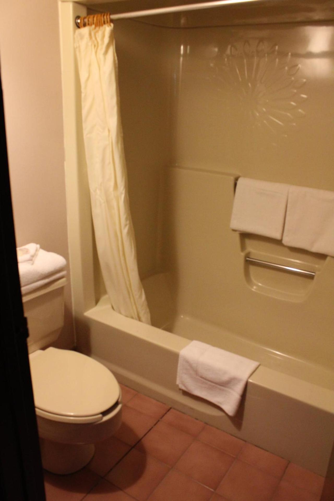 Queen Room with Sofa Bed