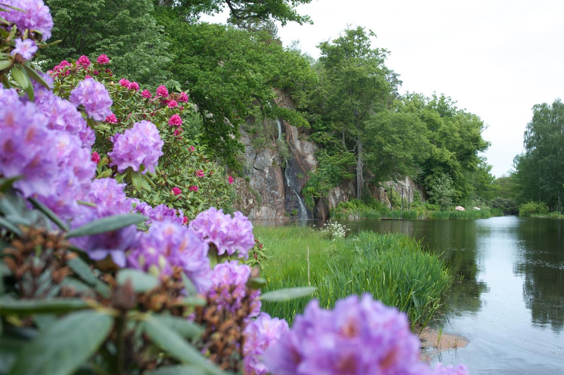 Ronneby Brunnspark Vandrarhem och B&B