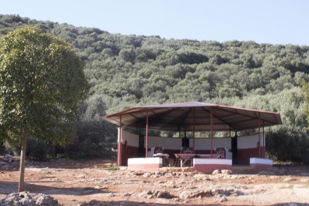 Casas Rurales Cortijo la Cañada