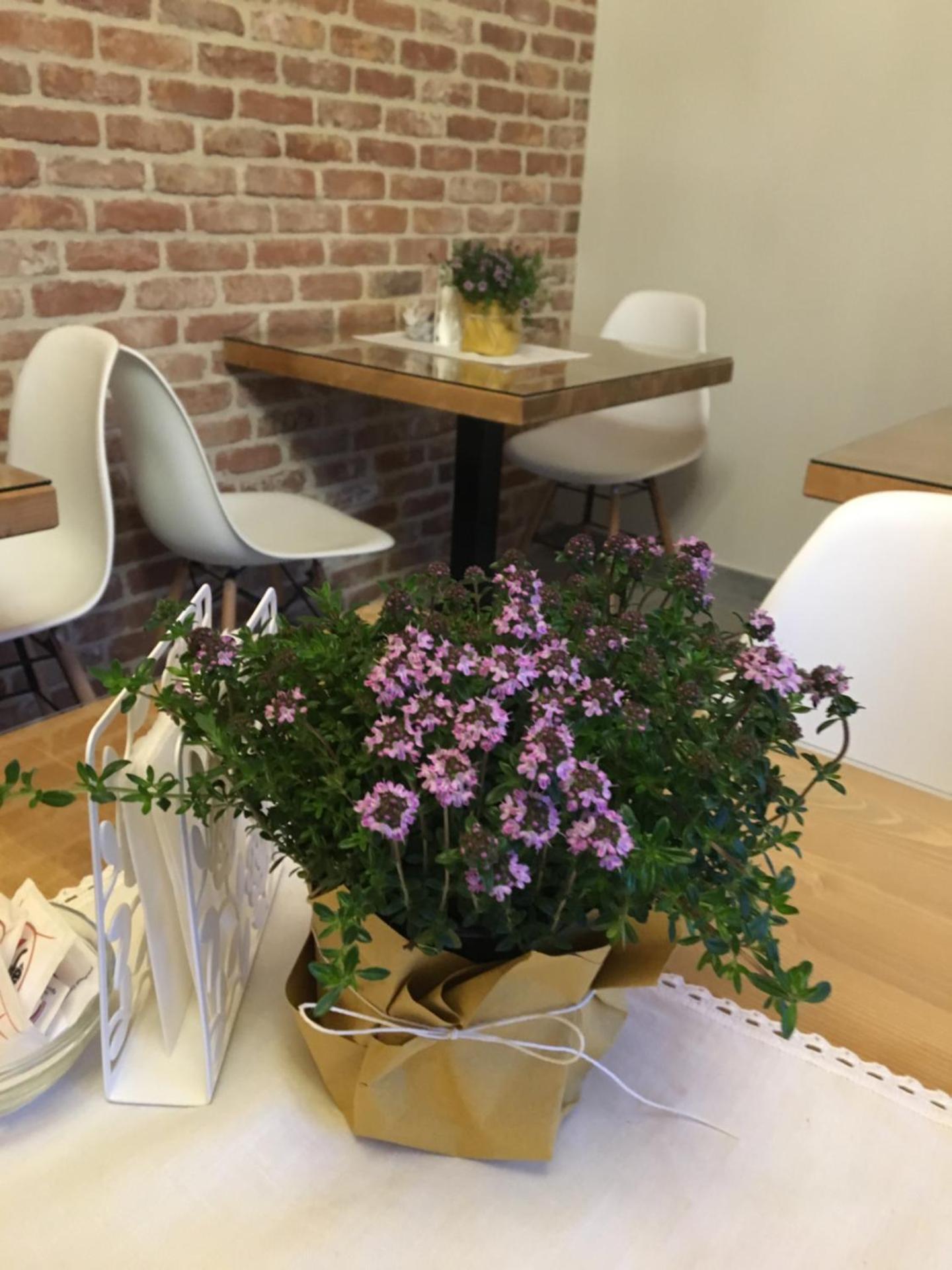 Agriturismo da Mamma