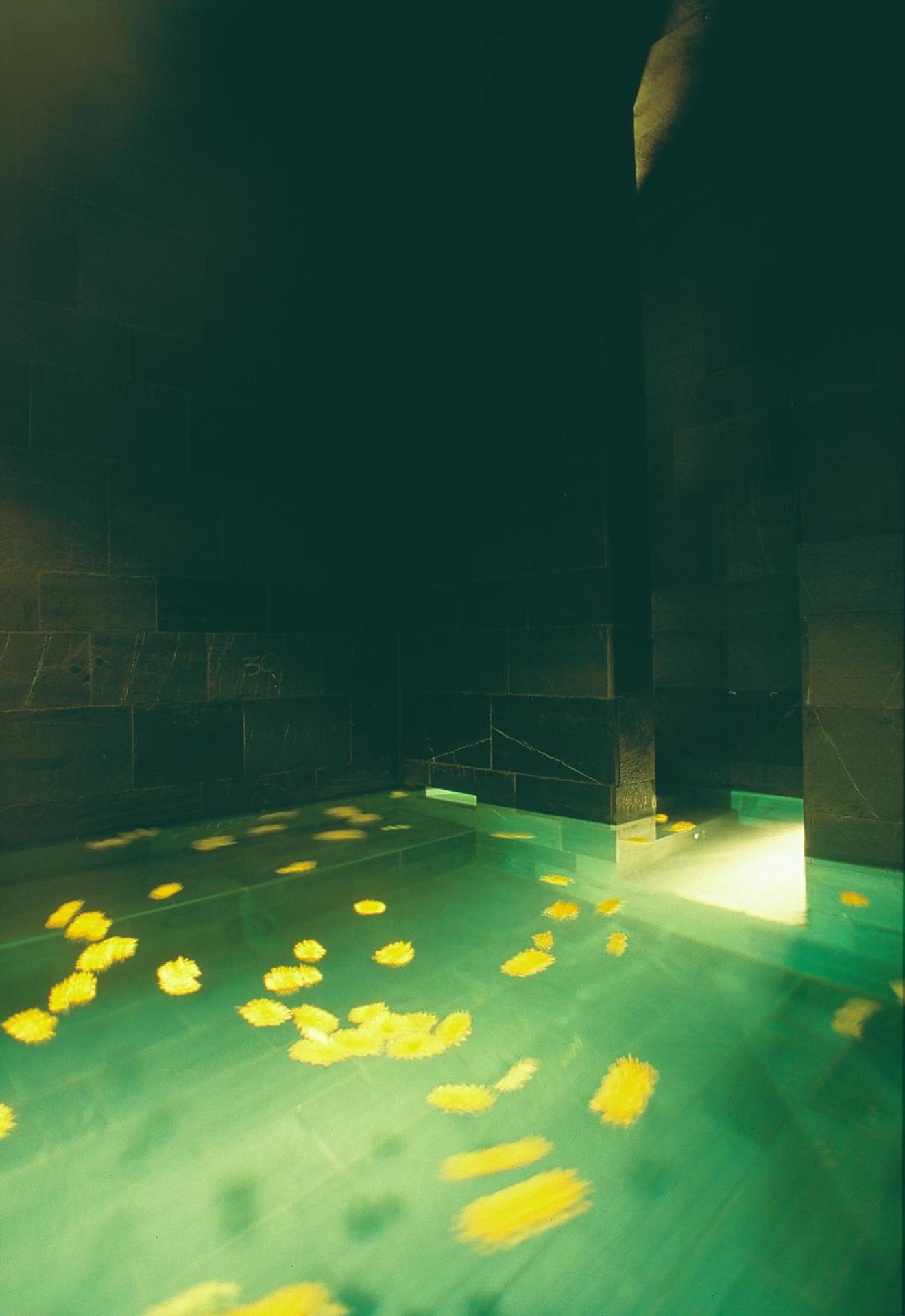 Spa and wellness centre/facilities