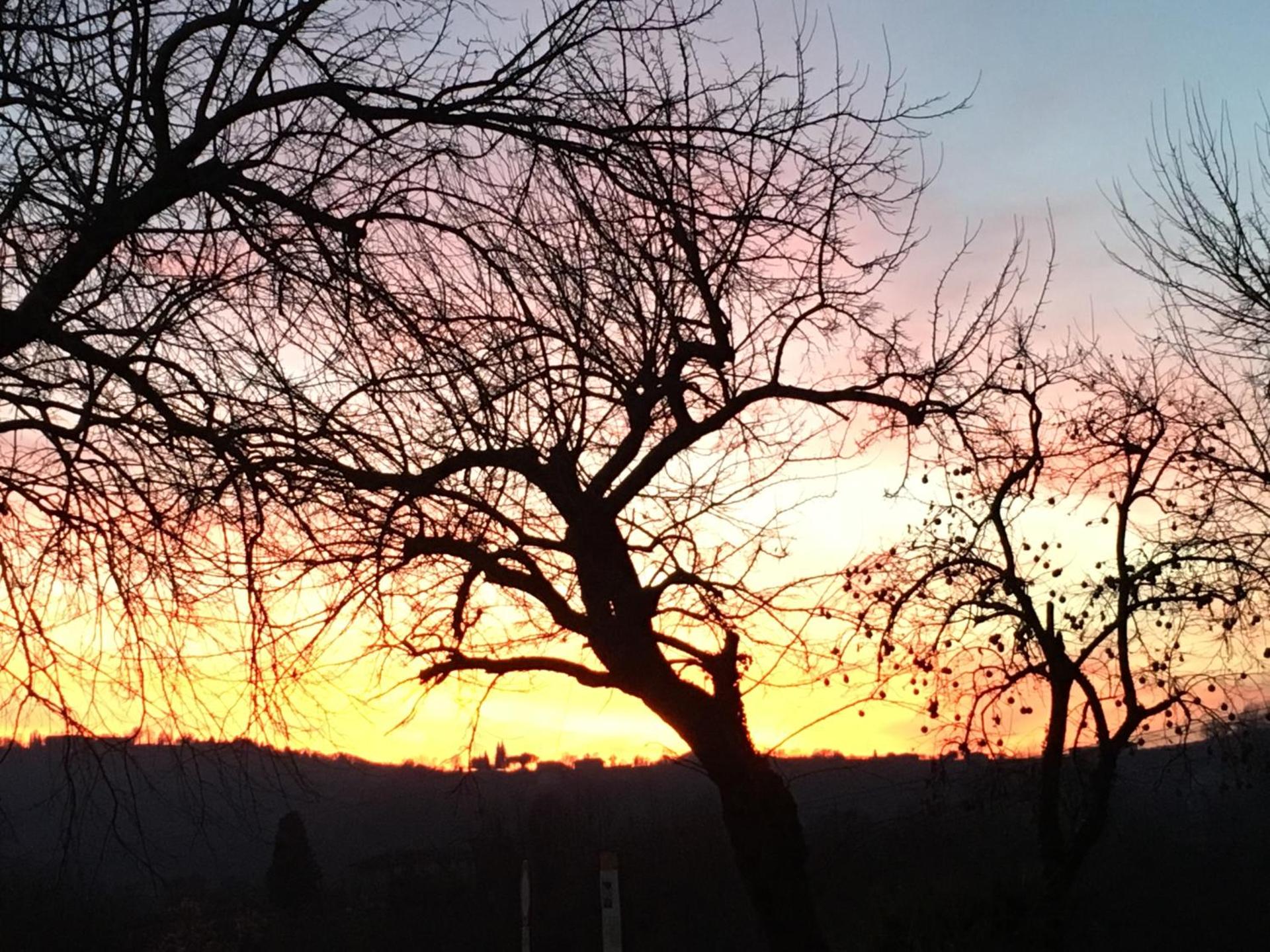 Azienda Agrituristica Calronche