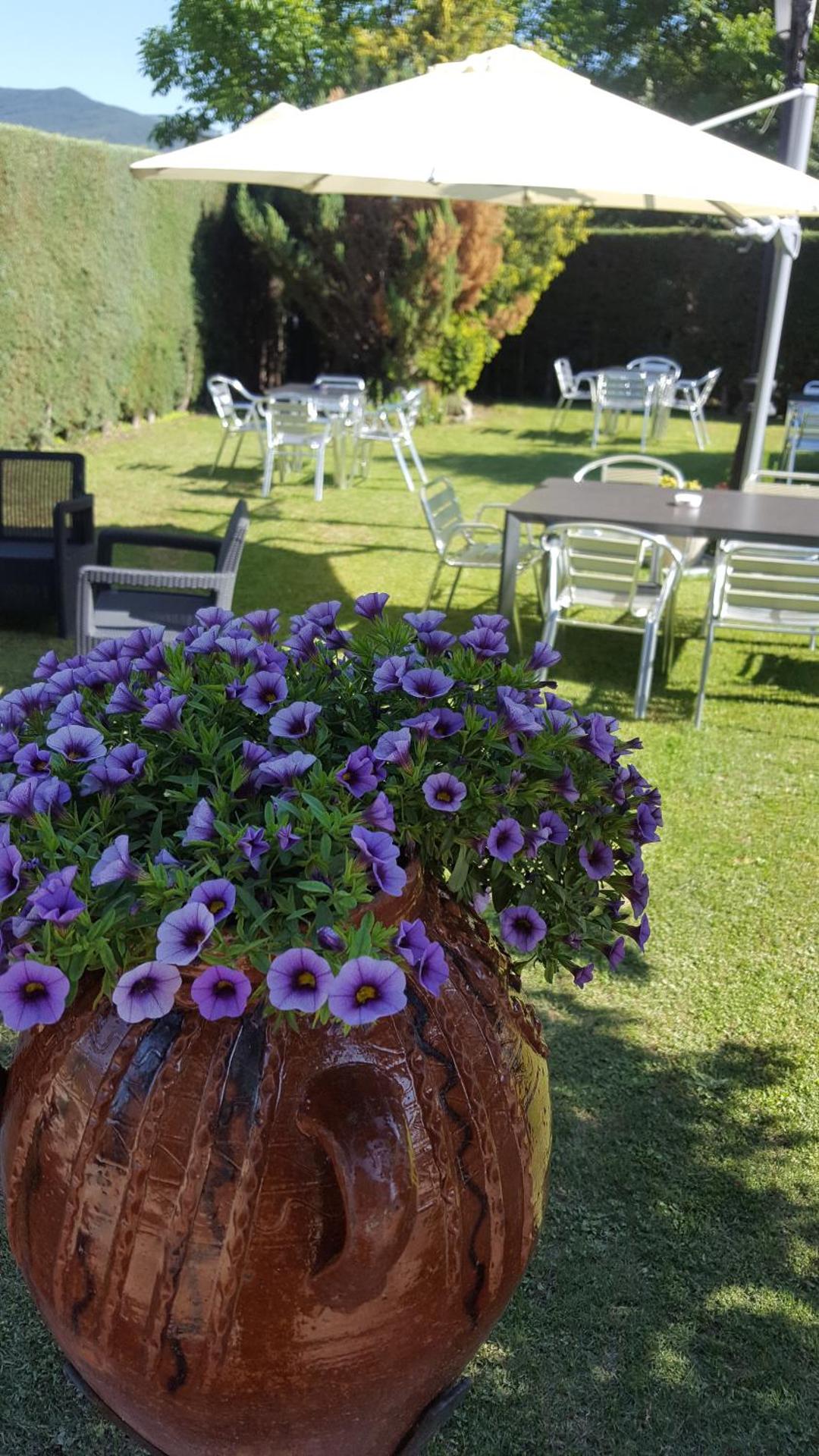 Aparta-Hotel Puertolas