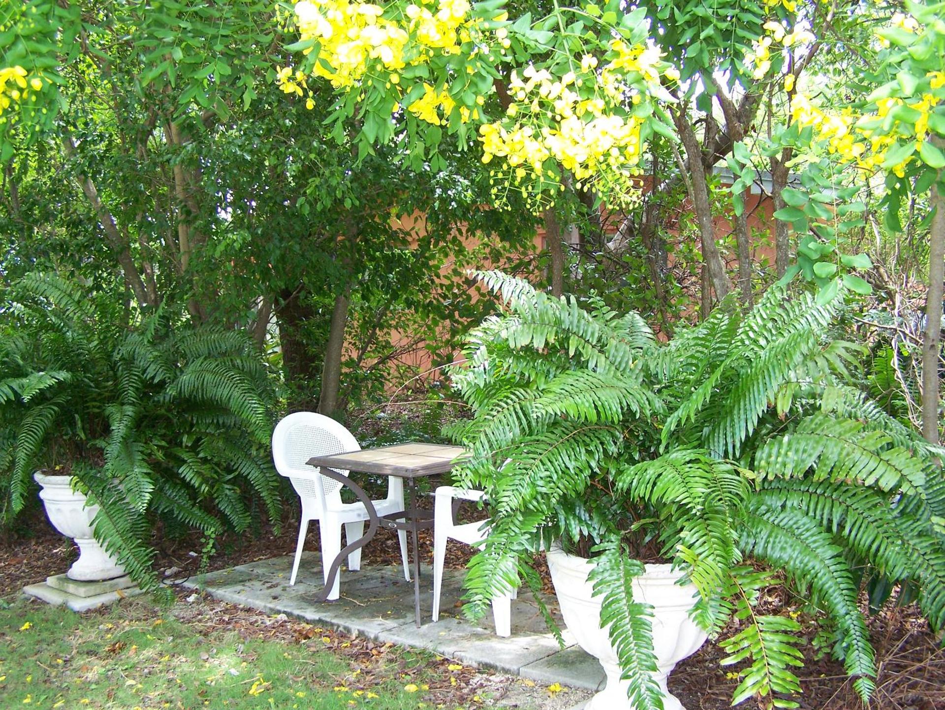 Patio