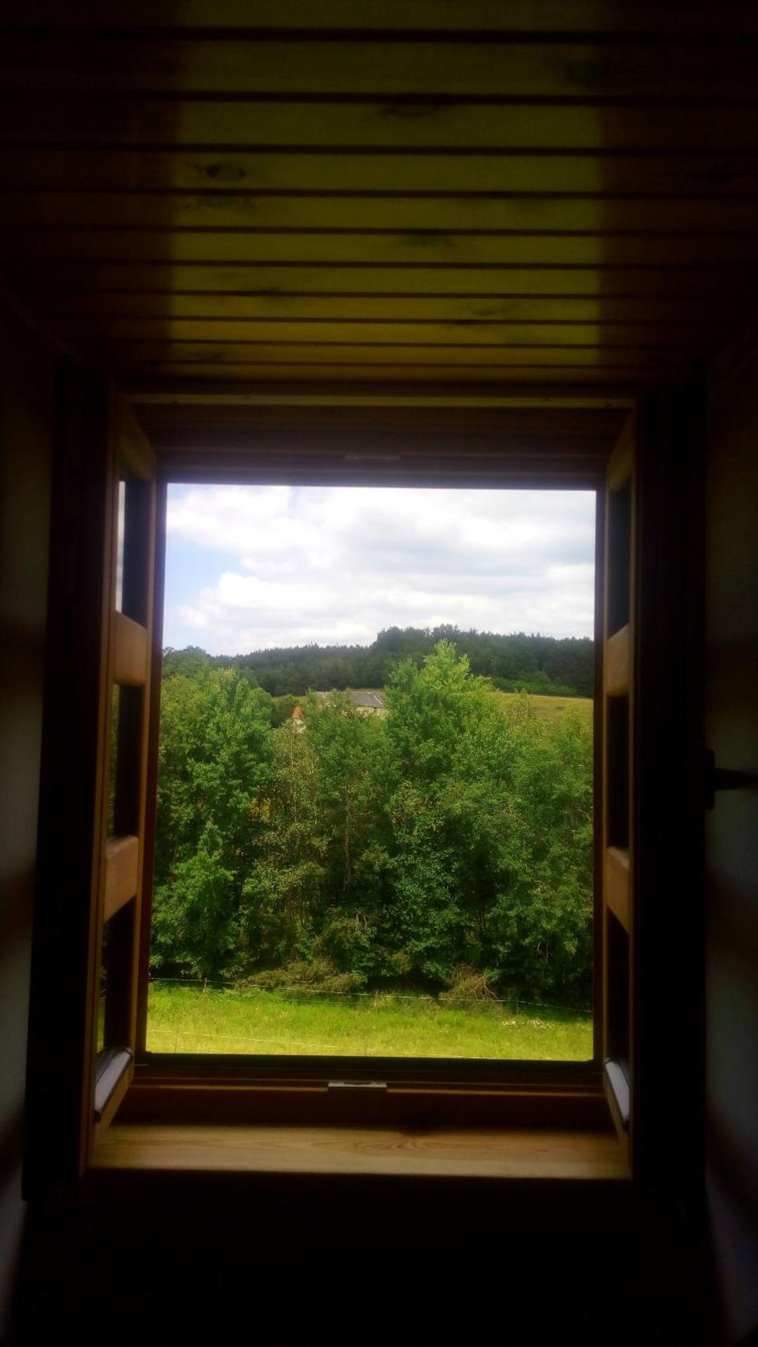 View (from property/room)