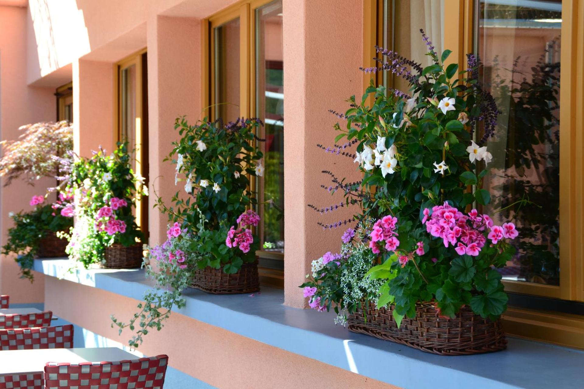 Le Rhien Hôtel-Restaurant