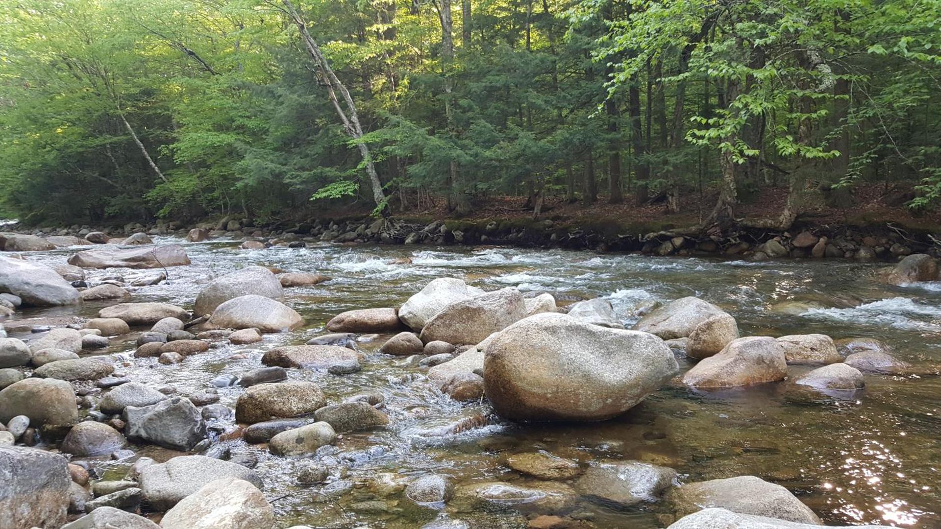Franconia Notch Motel