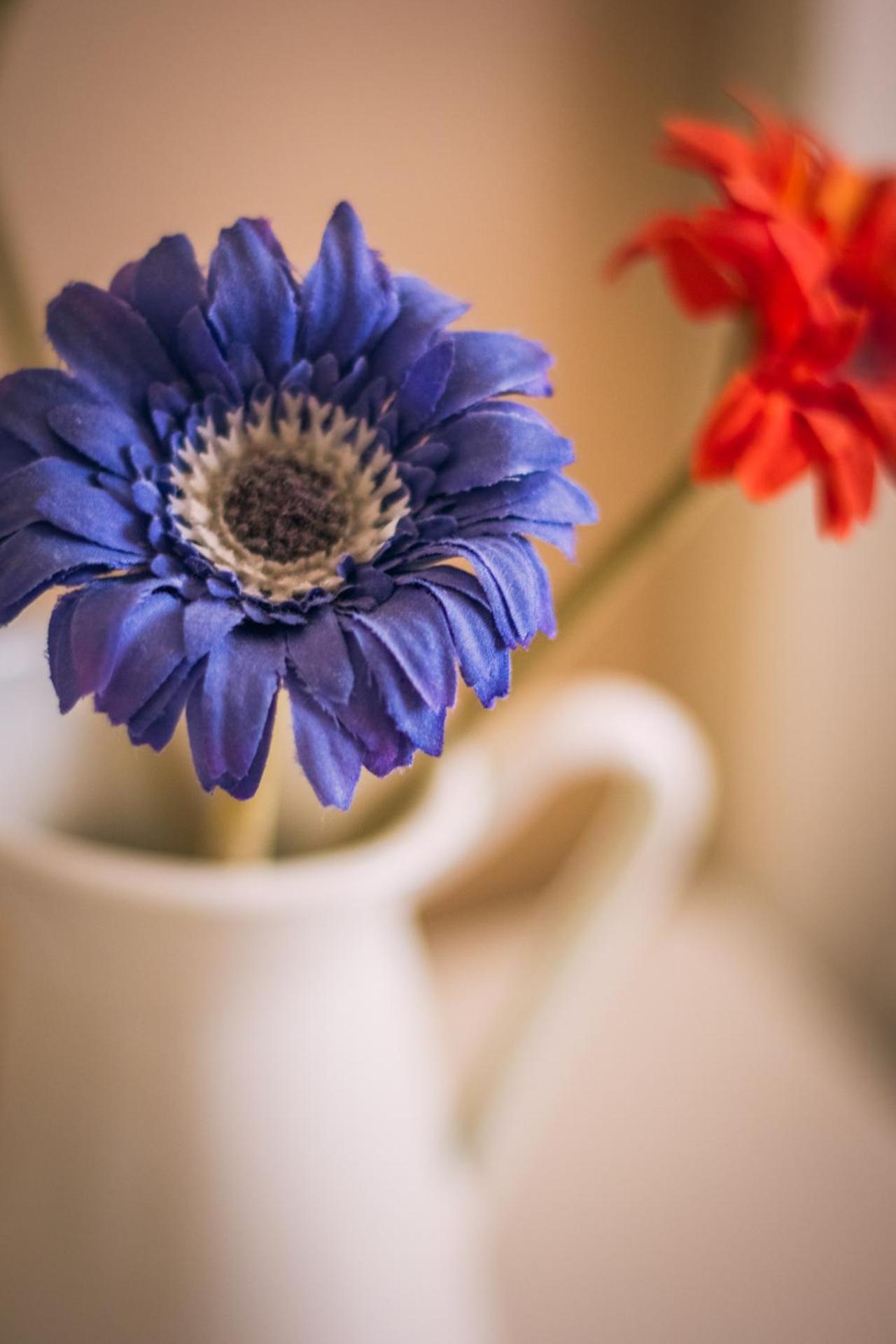 Hostal El Convent de Moncada