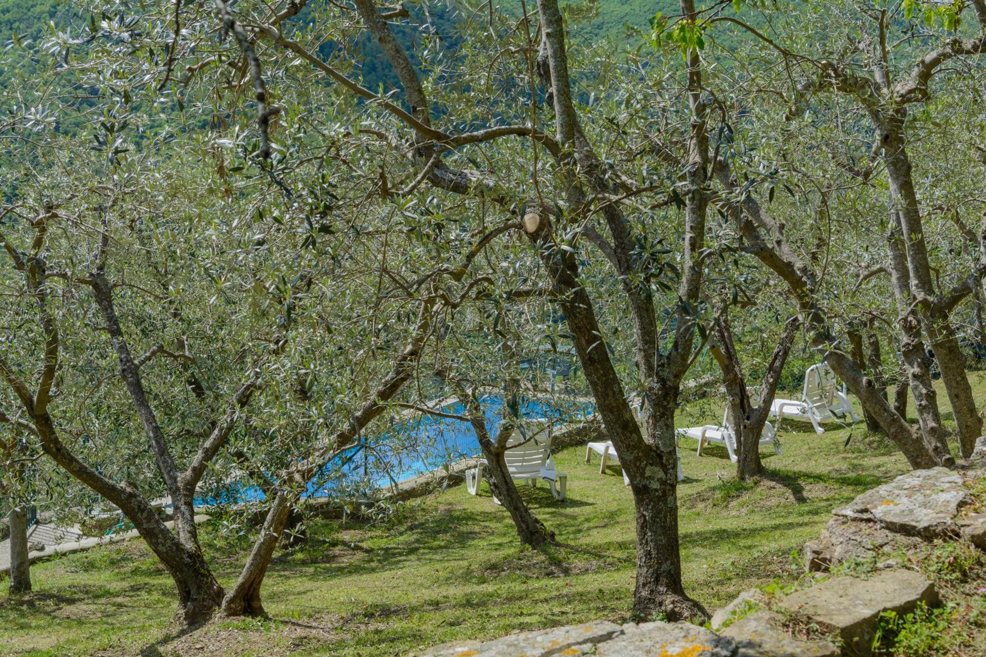 Agriturismo Casapasserini