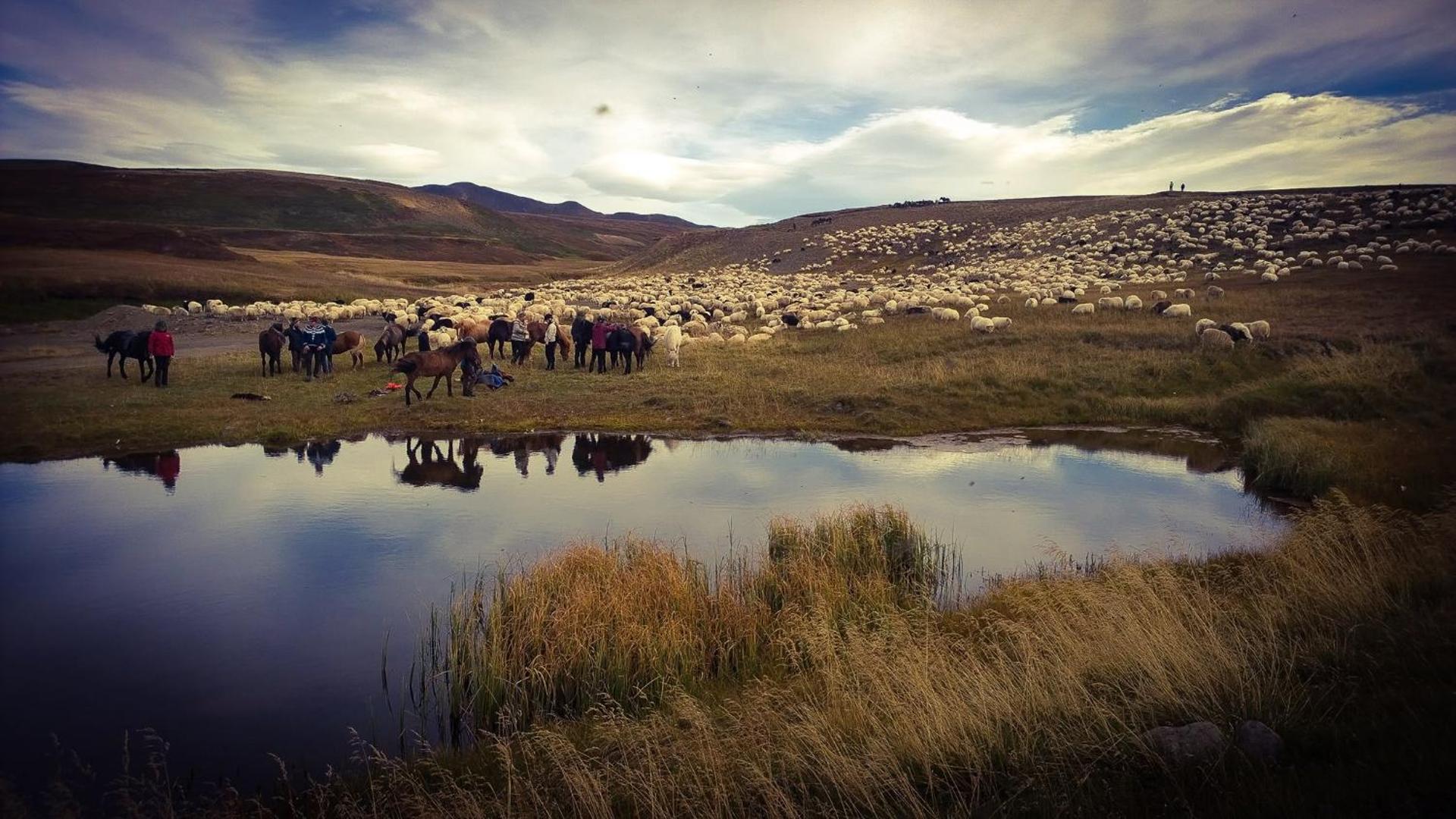 Guesthouse Brúnahlíð