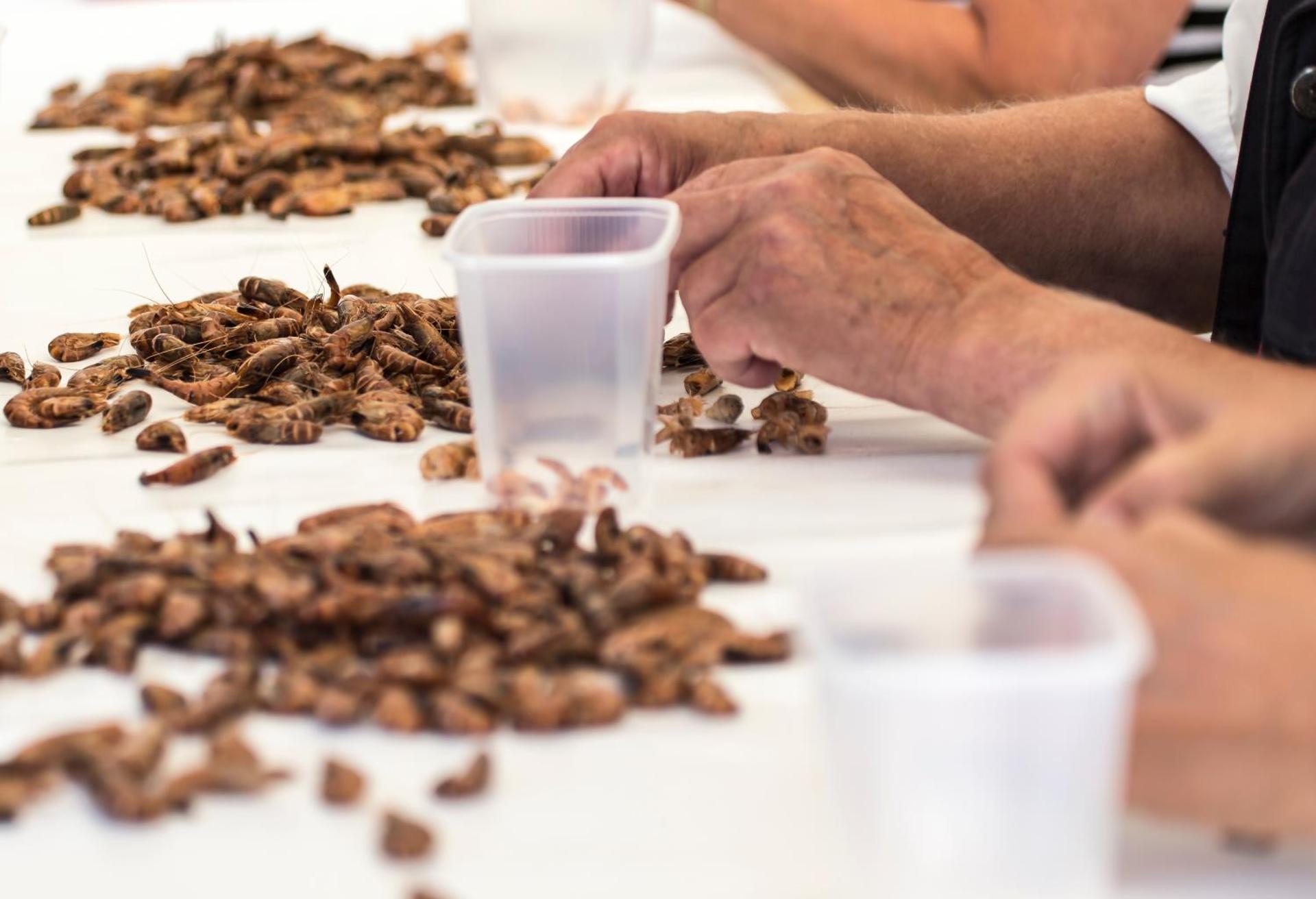 Hotel Zum Alten Siel